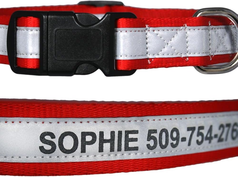 Safe and stylish dog collar for night walks, great dropshipping pet products.