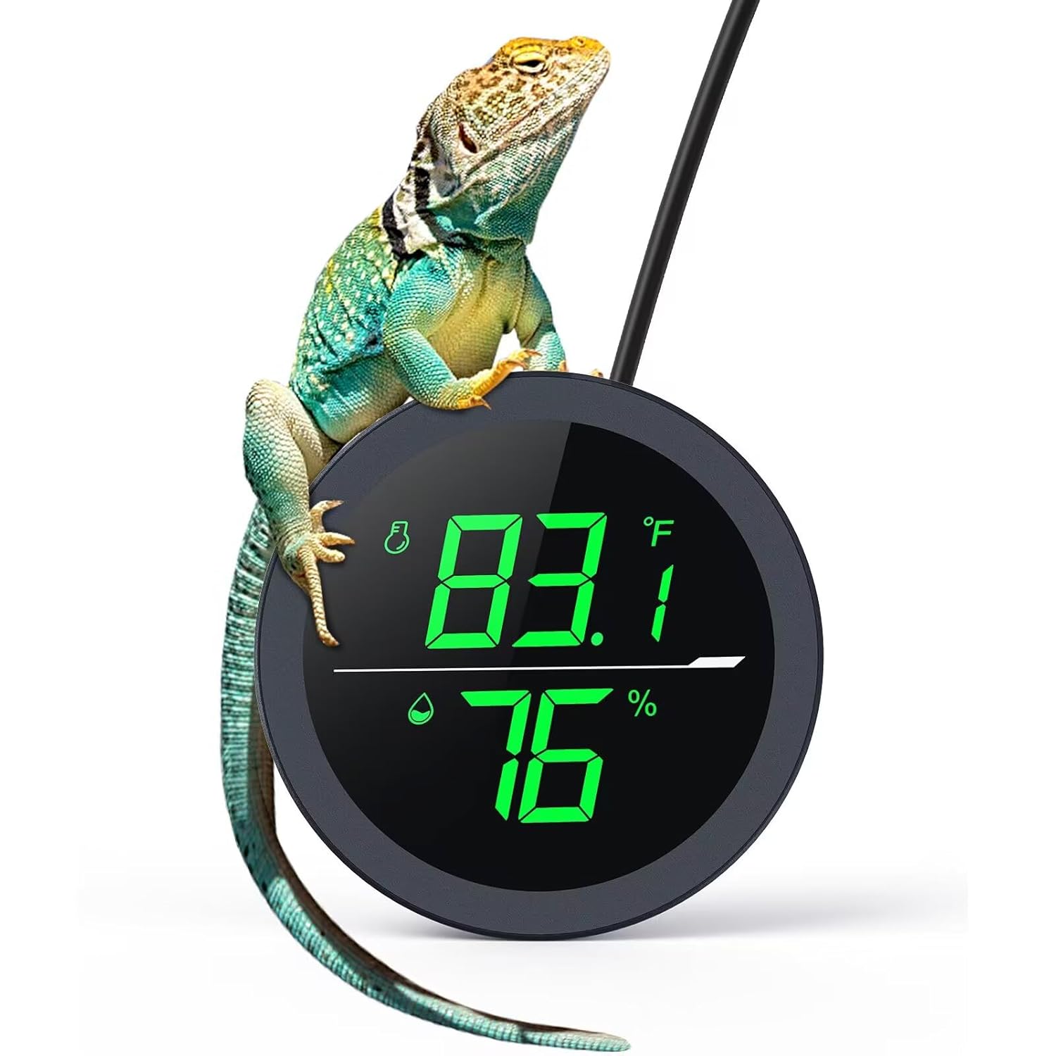 Accurate thermometer for reptile habitats, practical dropshipping pet products.