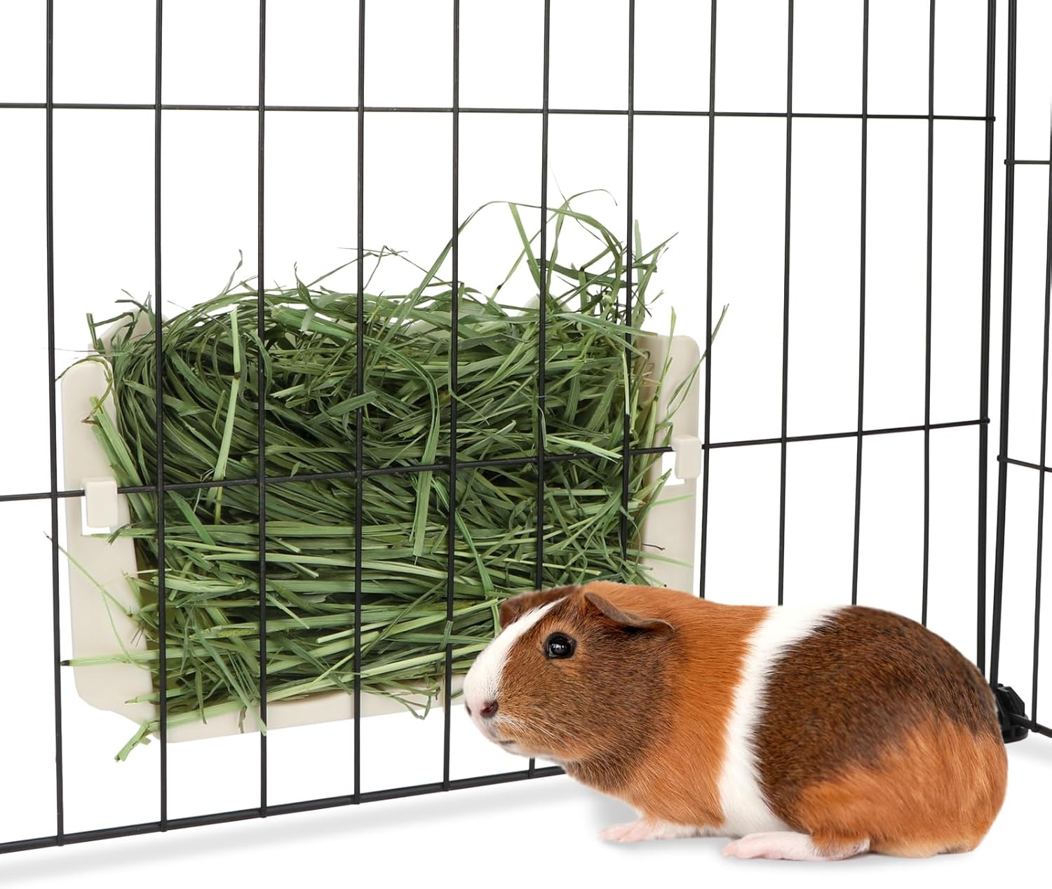 Keeps hay organized for guinea pigs, practical dropshipping pet products.