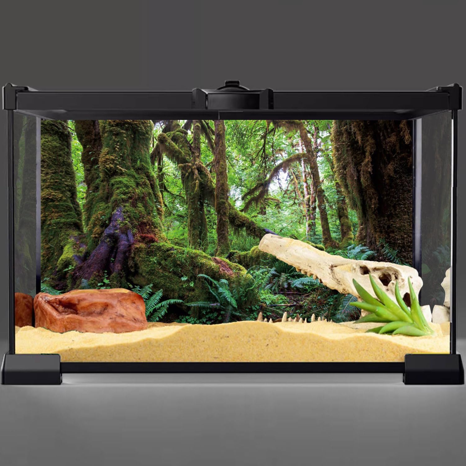 Decorative background for reptile terrariums, trending dropshipping pet products.