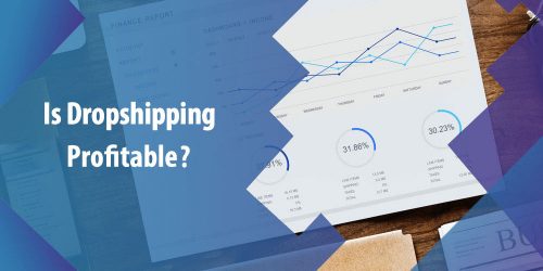 Is Dropshipping Profitable in 2022? How to Make It Profitable