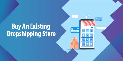 Why Should I Buy an Existing Dropshipping Store: Stores for Sale