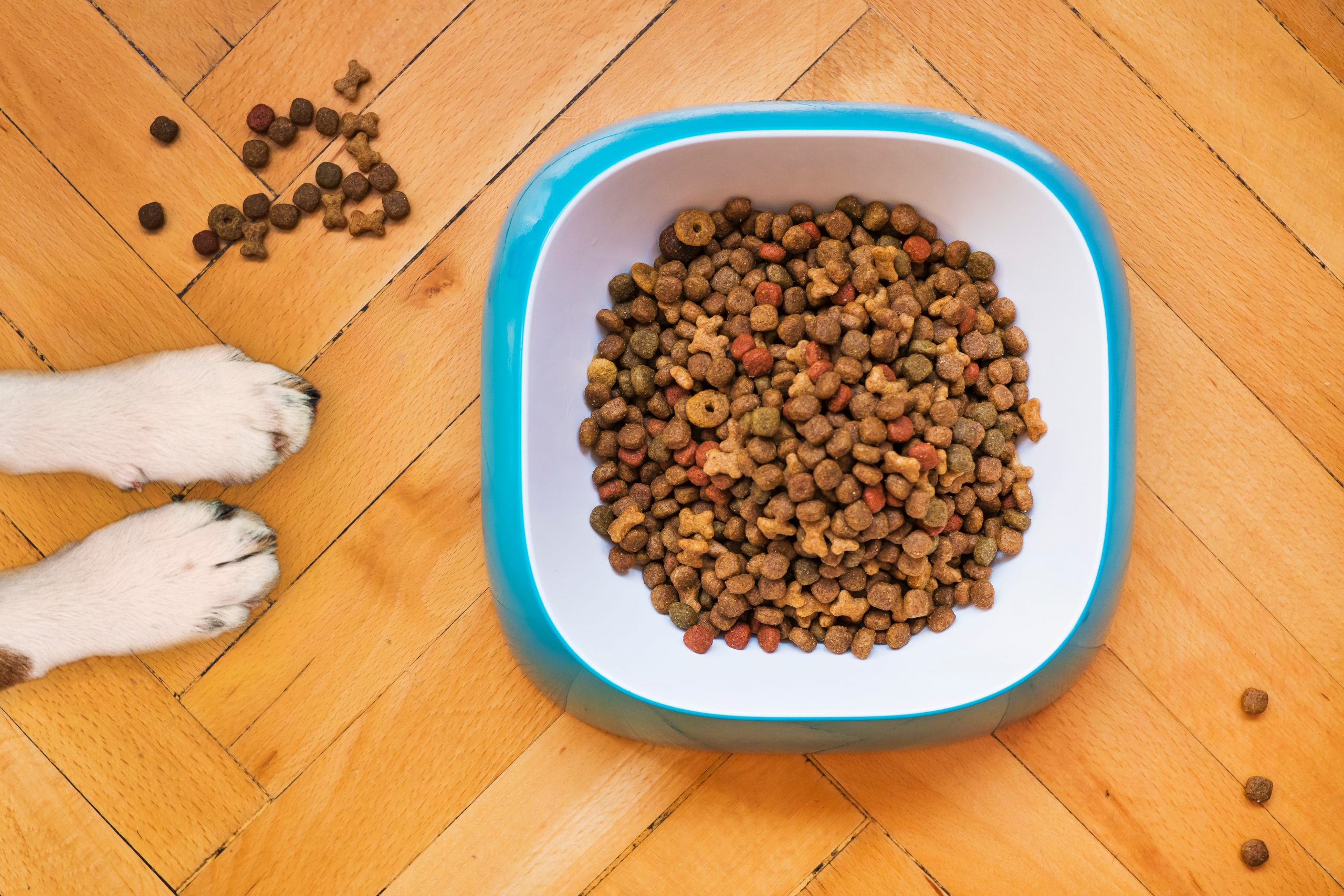 private label products pet food