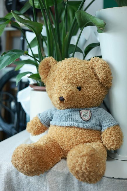 Plush Stuffed Animal (30cm)