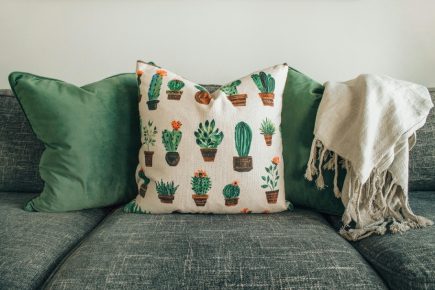 Fancy Cushions
